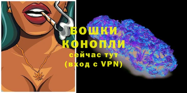 МДПВ Козельск