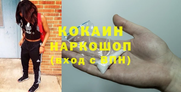 гидра Кодинск
