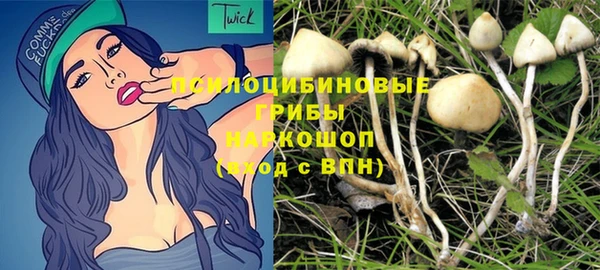 гидра Кодинск