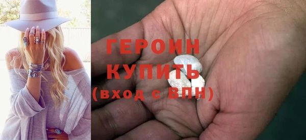 гидра Кодинск