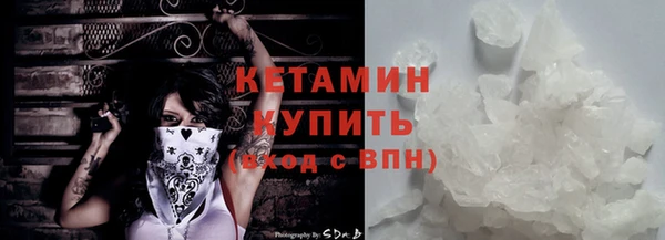 гидра Кодинск