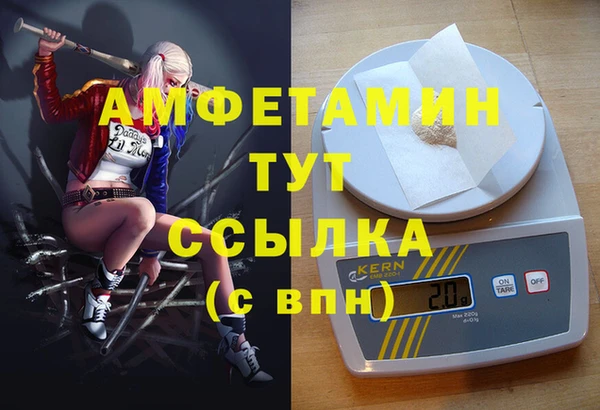 гидра Кодинск