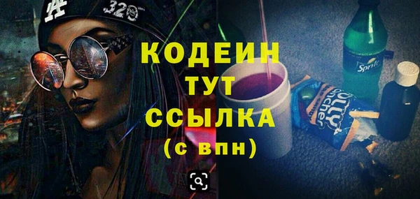 гидра Кодинск