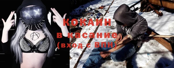 гидра Кодинск