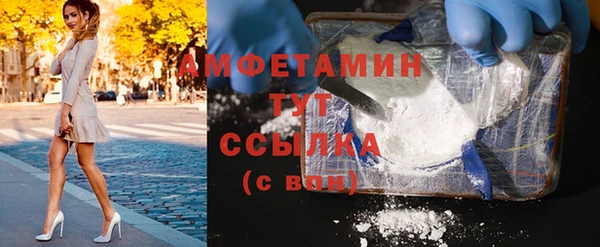 гидра Кодинск