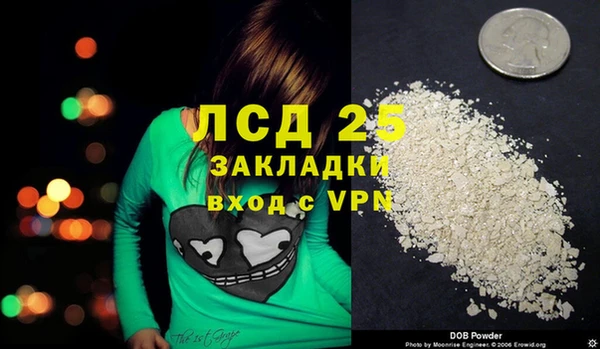 гидра Кодинск