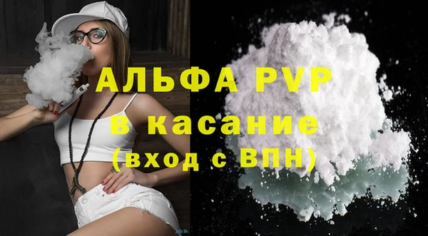 гидра Кодинск