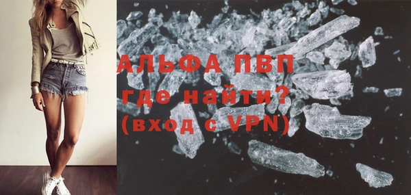 гидра Кодинск