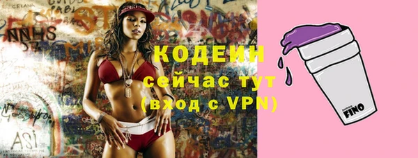 гидра Кодинск